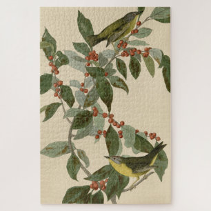 Nashville Warbler uit Audubon's Vogels van Amerika Legpuzzel
