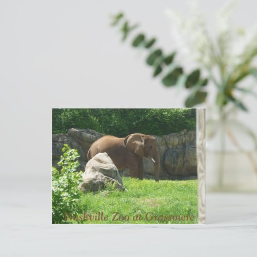 Nashville Zoo Briefkaart (Staand voorkant)