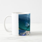 Naso brevirostris koffiemok (Links)