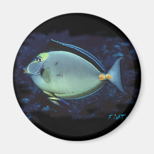 Naso Tang Magneet