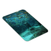 Nassau, Bahamas Atlantis Magneet (Rechterzijde)