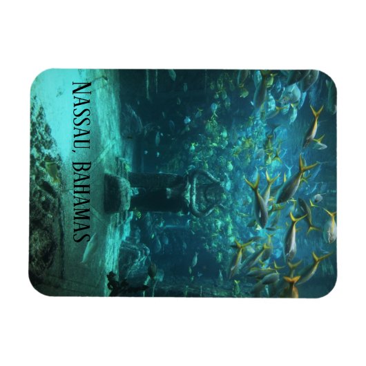 Nassau, Bahamas Atlantis Magneet (Horizontaal)