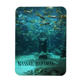 Nassau, Bahamas Atlantis Magneet