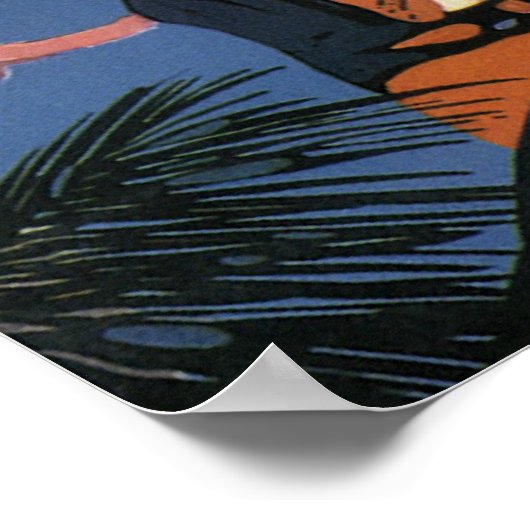 Nassau Bahamas Poster (Hoek)