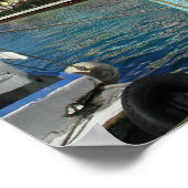 Nassau Harbor Poster (Hoek)