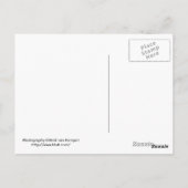 Nassau-haven Briefkaart (Achterkant)
