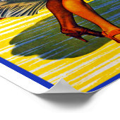 Nassau Jet Poster (Hoek)