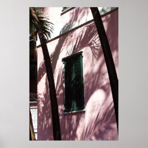 Nassau Library Pastel Roze Poster Print