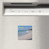 Nassau magneet (Insitu (Vaatwasser))