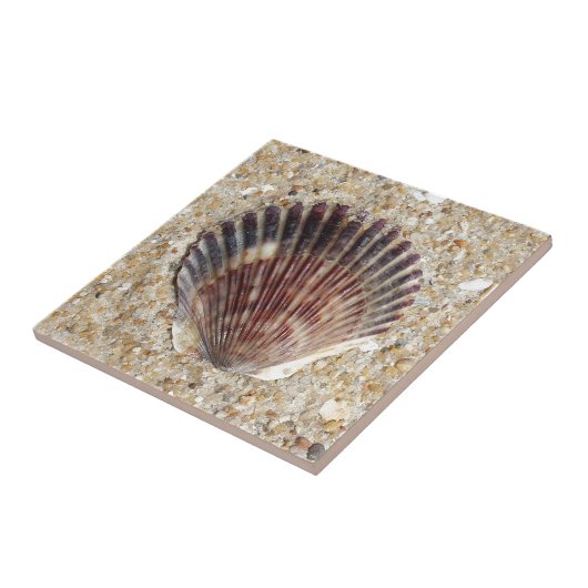 Nassel op zand tegeltje (Zijkant)