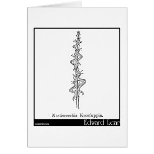 Nasticreechia Krorluppia