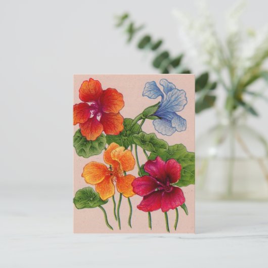 nasturië briefkaart (Staand voorkant)