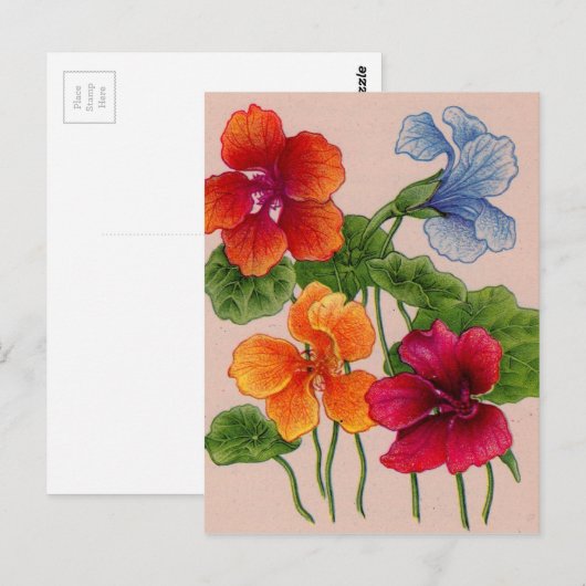 nasturië briefkaart (Voorkant / Achterkant)