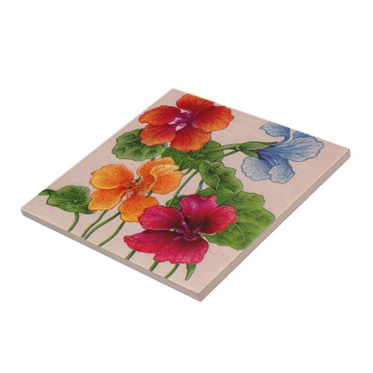 nasturië tegeltje (Zijkant)