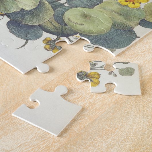 Nasturtia en Daisies: 1.Nasturtium-indicator; 2.B. Legpuzzel (Zijkant)