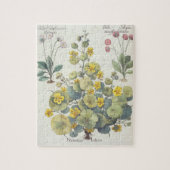 Nasturtia en Daisies: 1.Nasturtium-indicator; 2.B. Legpuzzel (Verticaal)