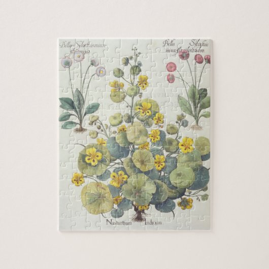 Nasturtia en Daisies: 1.Nasturtium-indicator; 2.B. Legpuzzel (Verticaal)