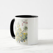 Nasturtia en Daisies: 1.Nasturtium-indicator; 2.B. Mok (Voorkant links)