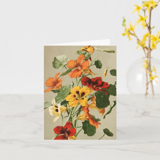  Nasturtia Noot Kaart (Gele Bloem)