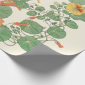 Nasturticum | Antiek lithograaf 1896 Verpakking Cadeaupapier (Hoek)