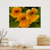 Nasturticum Poster (Keuken)