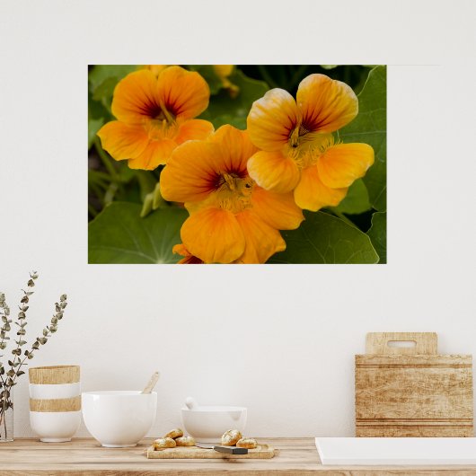 Nasturticum Poster (Keuken)