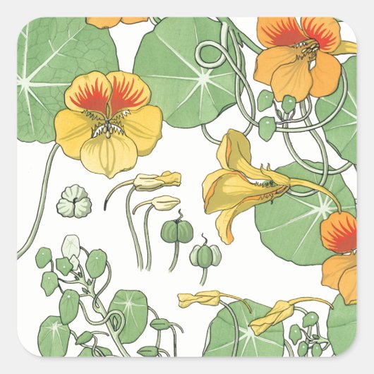 Nasturticum Vierkante Sticker (Voorkant)