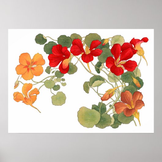 Nasturtium bloem, Japanse ukiyo kunst Poster (Voorkant)
