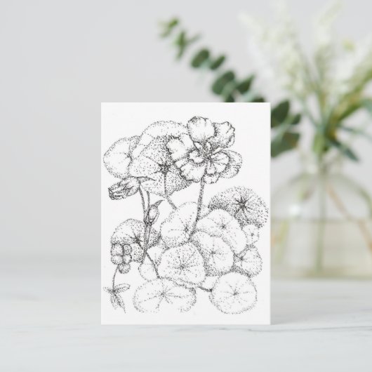 Nasturtium Bloemen Pen en Inkt Tekening Art Briefkaart (Staand voorkant)