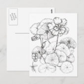 Nasturtium Bloemen Pen en Inkt Tekening Art Briefkaart (Voorkant / Achterkant)