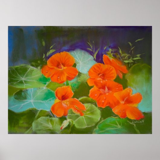 Nasturtium Bloom - Botanical Pastel Poster (Voorkant)