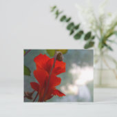 Nasturtium Blooms Briefkaart (Staand voorkant)