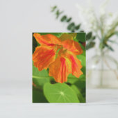 Nasturtium Briefkaart (Staand voorkant)