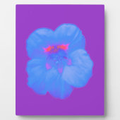 Nasturtium Bright Blue Plaque Fotoplaat (Voorkant)