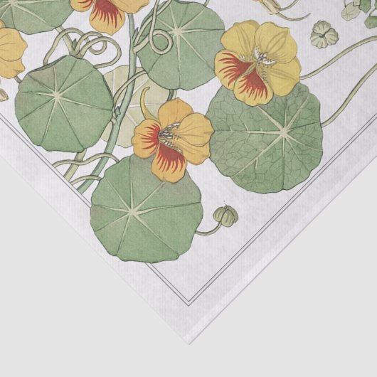 Nasturtium, Eugene Grassat's Botany-serie Tissuepapier (Detail)