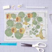 Nasturtium, Eugene Grassat's Botany-serie Tissuepapier (Craft)