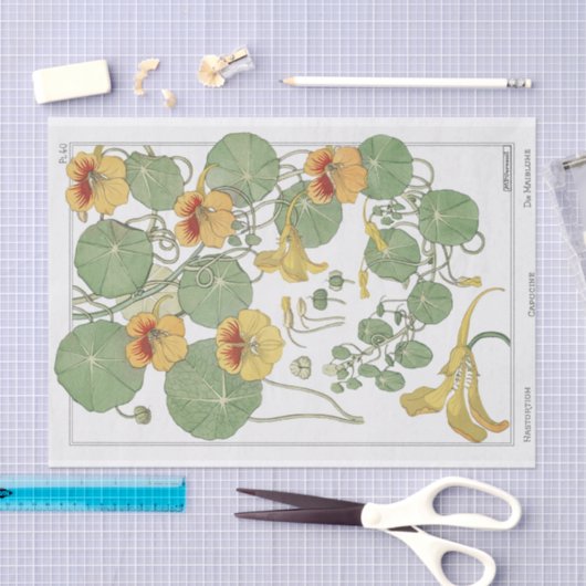 Nasturtium, Eugene Grassat's Botany-serie Tissuepapier (Craft)