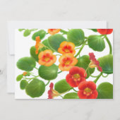 Nasturtium Floral Garden Save the Date (Achterkant)