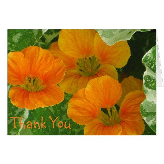 Nasturtium - Hartelijk dank (Voorkant Horizontaal)