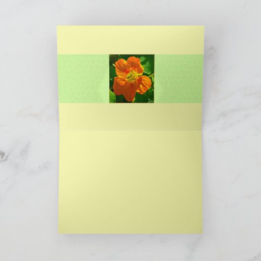 Nasturtium in sinaasappel kaart (Binnen)
