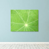 Nasturtium Leaf Canvas Afdrukken (Insitu (Houten vloer))
