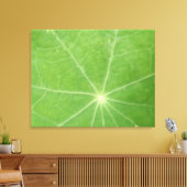 Nasturtium Leaf Canvas Afdrukken (Insitu (Woonkamer))