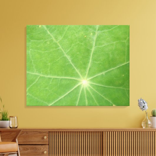 Nasturtium Leaf Canvas Afdrukken (Insitu (Woonkamer))