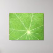 Nasturtium Leaf Canvas Afdrukken (Voorkant)