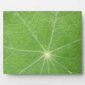 Nasturtium Leaf Plaque Fotoplaat (Voorkant)
