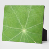 Nasturtium Leaf Plaque Fotoplaat (Zijkant)