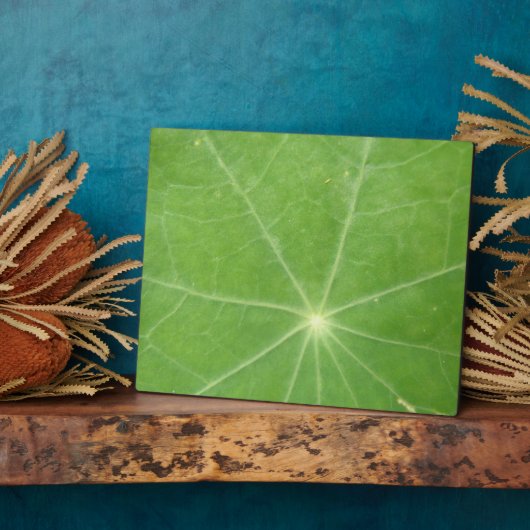 Nasturtium Leaf Plaque Fotoplaat (Zijkant)