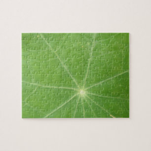 Nasturtium Leaf Puzzle Legpuzzel