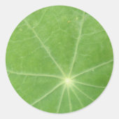 Nasturtium Leaf Stickers (Voorkant)