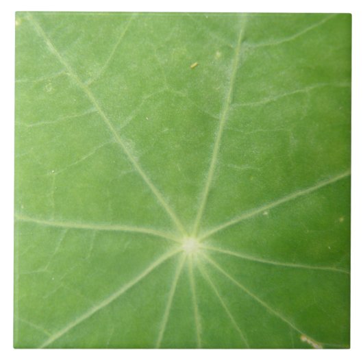 Nasturtium Leaf Tile Tegeltje (Voorkant)